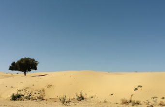 Ученые связали употребление алкоголя с климатом Климат и алкоголь