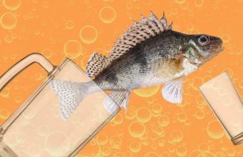 Почему нельзя мешать водку с пивом и что будет, если это произойдёт