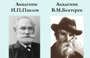 О том, как поссорились Иван Петрович с Владимиром Михайловичем или существует ли граница безопасного потребления алкоголя?
